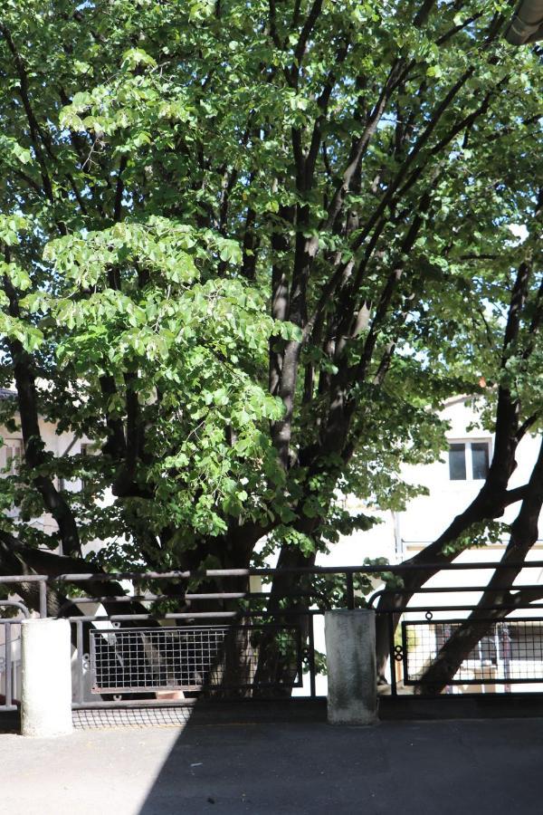 La Maison Du Soleil ヴォヴェール エクステリア 写真